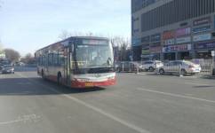 青岛黄岛801路公交车路线